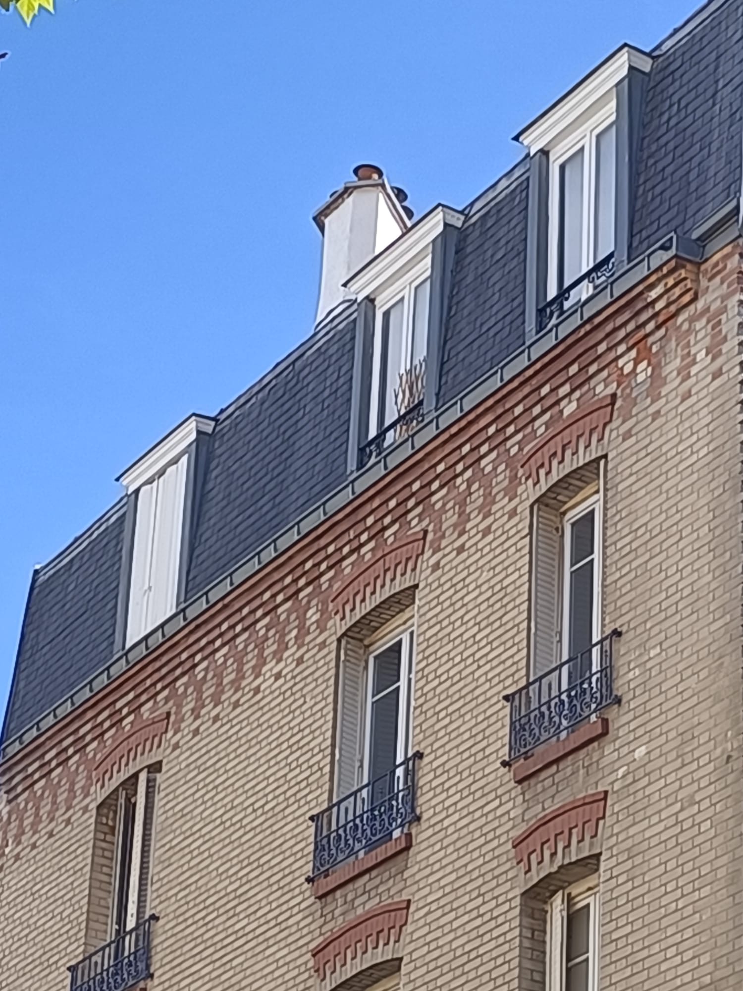 Intervention professionnelle